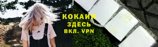 стаф Абаза