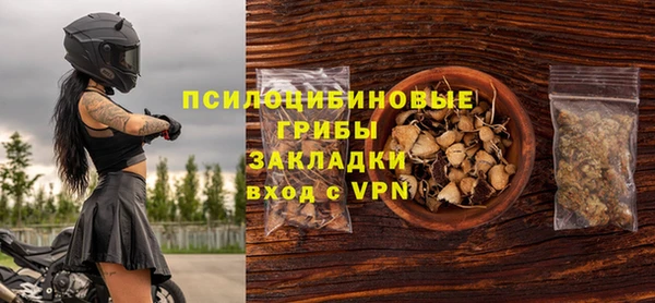 стаф Абинск