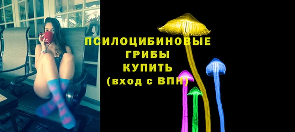стаф Абинск