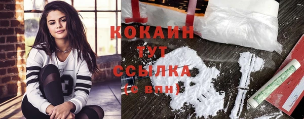 стаф Абинск