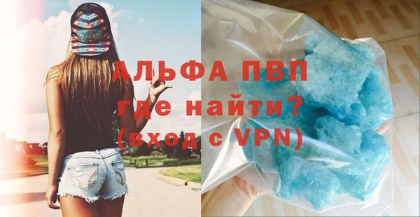 стаф Абаза