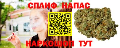 jwh Кандалакша