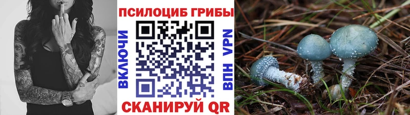 Псилоцибиновые грибы ЛСД как найти закладки Нефтеюганск