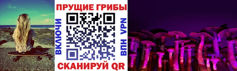 Псилоцибиновые грибы Magic Shrooms Нефтеюганск