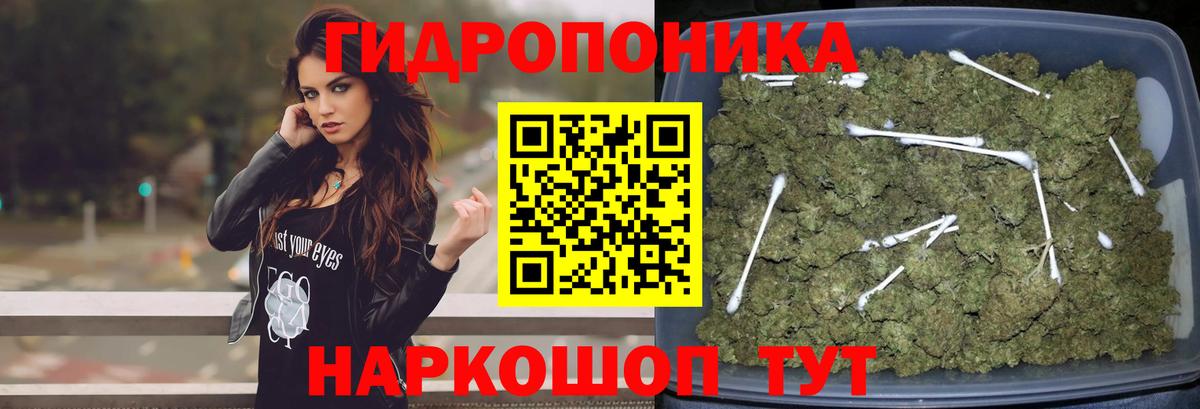 Бошки марихуана ГИДРОПОН  Бошки марихуана SATIVA & INDICA  Вход с VPN  Нефтеюганск 